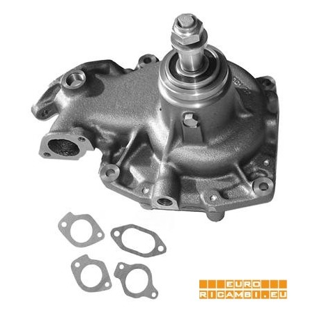 pompa acqua motore 8210.02 - 190pac26/330.26/180n c/619n1
