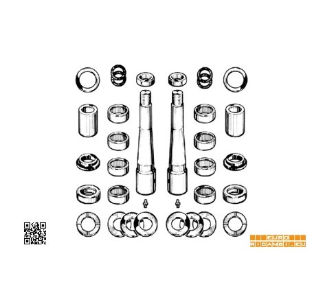 complessivo perni fusi (due...