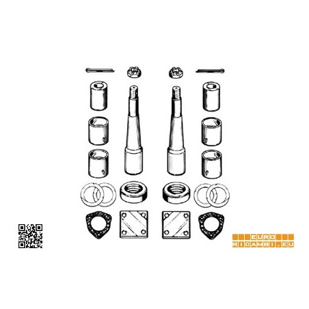 complessivo perni fusi con boccole (due ruote) per daf 2100,2300,2500,3600