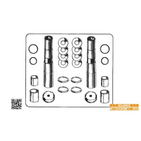 complessivo perni fusi  (due ruote) per daf lf45