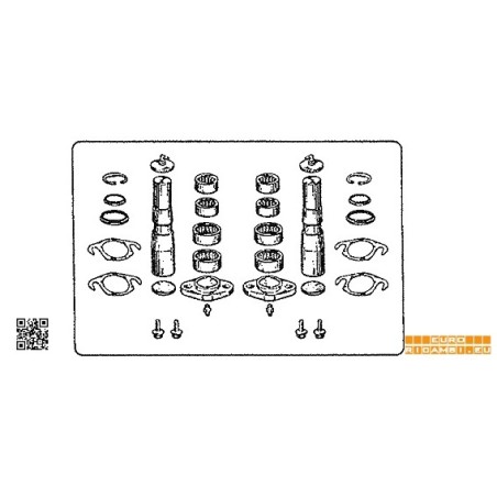 complessivo perni fusi (due ruote) per iveco eurocargo,eurocargo tector