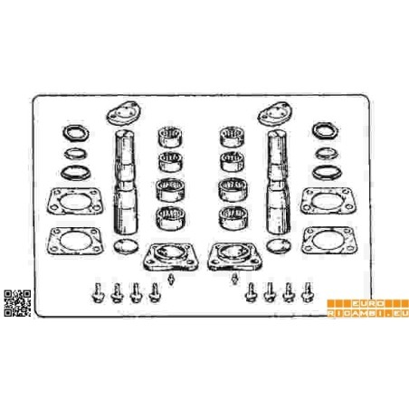complessivo perni fusi (due ruote) per iveco eurocargo,eurostar cursor,eurotech cursor