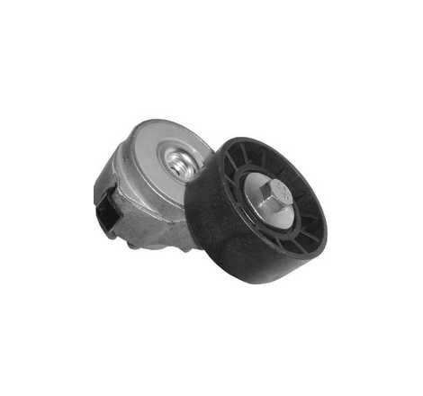 tendicinghia servizi  iveco...