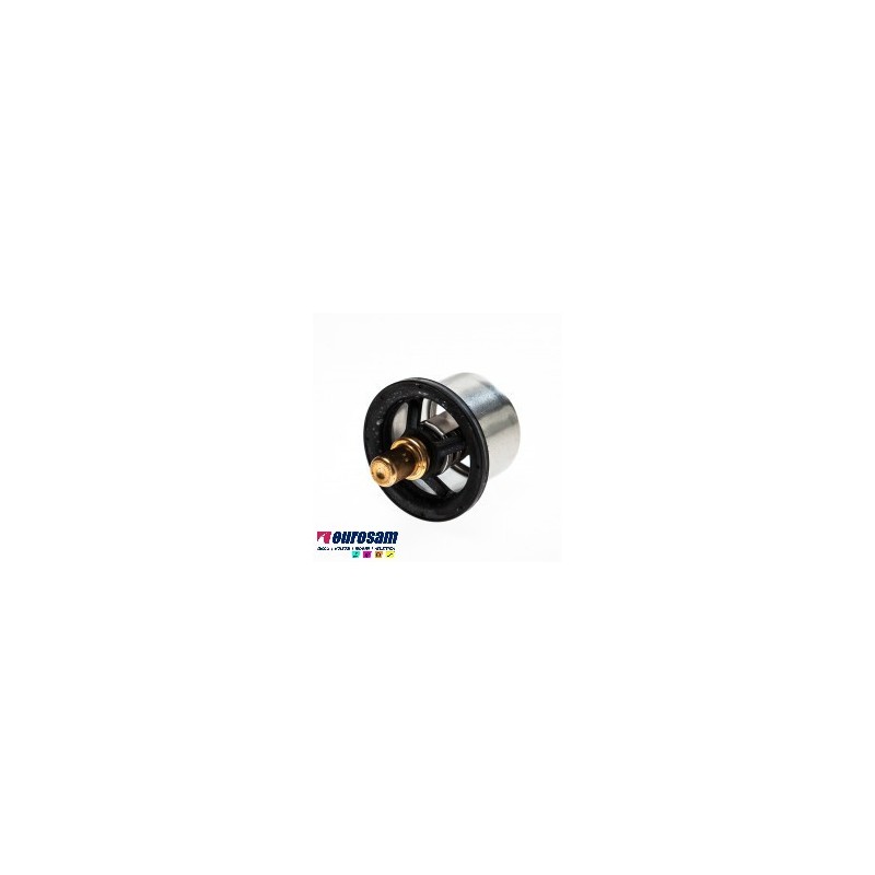 TERMOSTATO ACQUA IVECO RENAULT VOLVO,MERCEDES,SCANIA