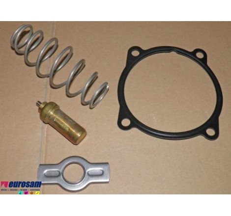 kit revisione termostato...