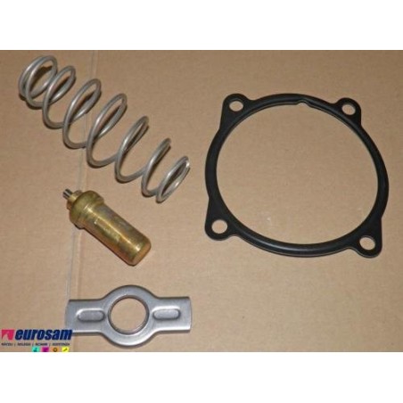 kit revisione termostato iveco stralis trakker cursor1 0/13