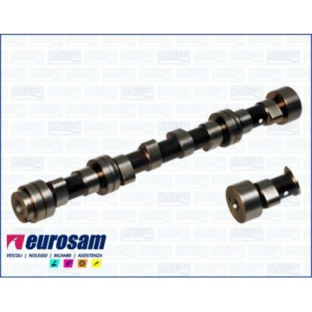 albero distribuzione motore nissan