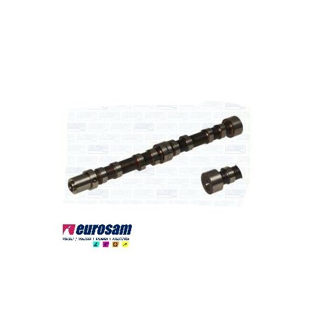 albero distribuzione motore iveco