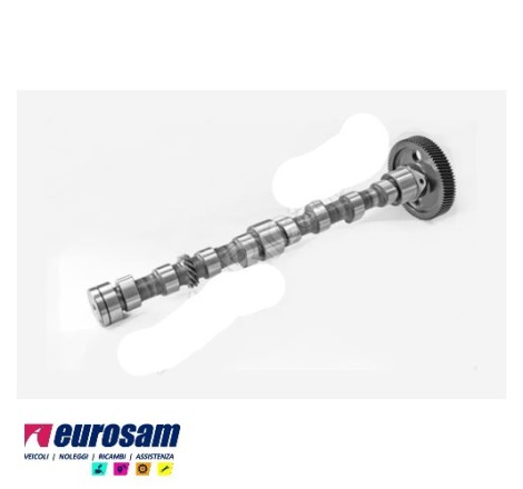 albero distribuzione motore...