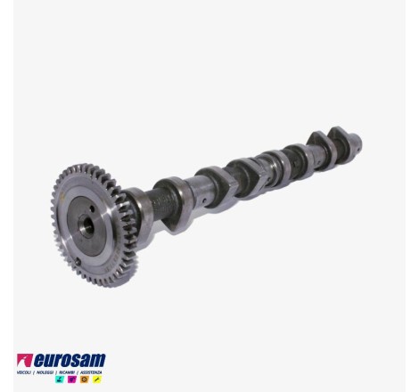 albero distribuzione motore...