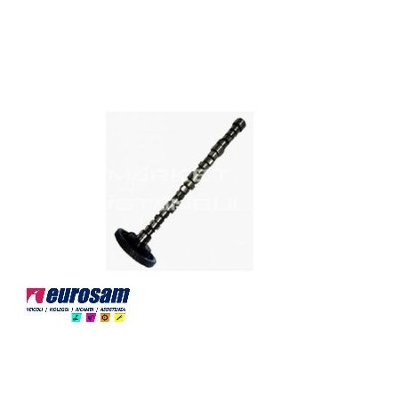 albero distribuzione motore man