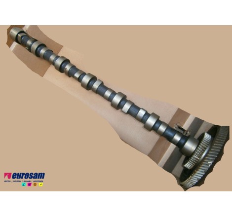 albero distribuzione motore...