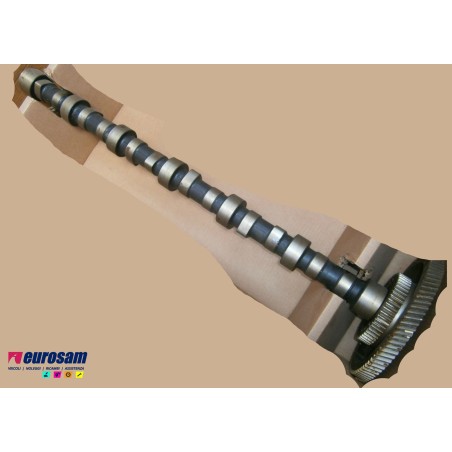 albero distribuzione motore man