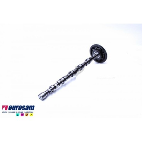 albero distribuzione motore man