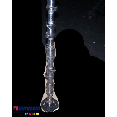 albero distribuzione motore man